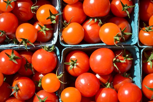 Cherry Bomb Tomato F1 – Paramount Seeds Inc