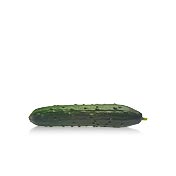 Modan F1 Seedless Slicer Cucumber (Treated)