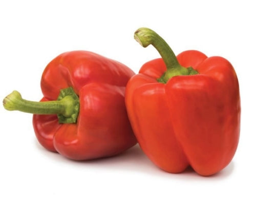 Wren F1 Red Bell Pepper