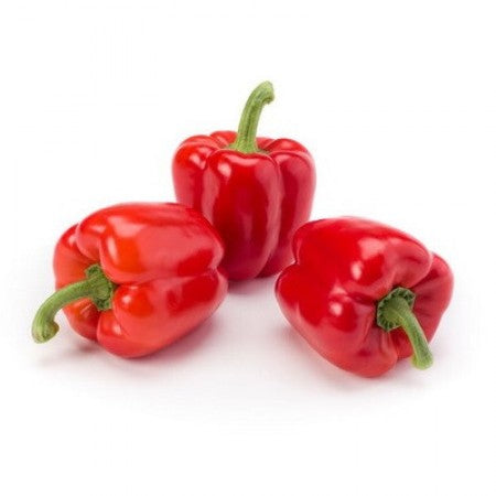 Wren F1 Red Bell Pepper