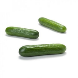 Khassib F1  Slicer Cucumber