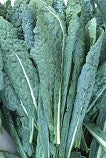Kale - Lacinato