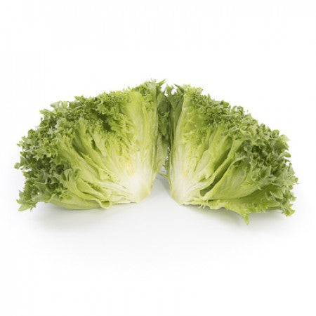 Lalique F1 Crystal Lettuce (RZ 44-17) Pelleted seed