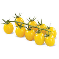 Lemon yellow chumki – Cherrypick