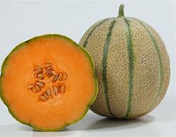 Tirreno Cantaloupe Melon (F1)