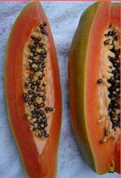 Bella F1 Papaya Seed 10 grams (+/- 580 seeds)