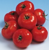 Tomato Caiman