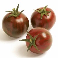 Zebrino F1 Cocktail Tomato | Paramount Seeds Inc