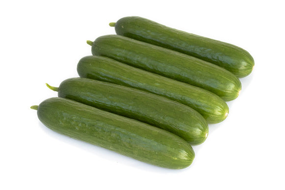 Splash F1 Mini Cucumber — Paramount Seeds