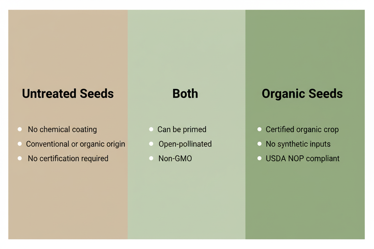 Untreated Seeds vs Organic Seeds: Key Differences.