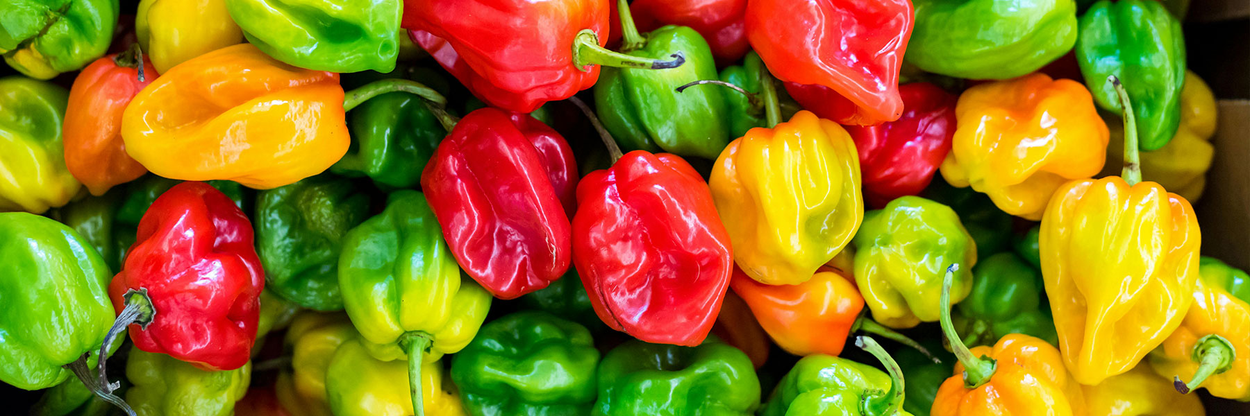 Hot Pepper Varieties