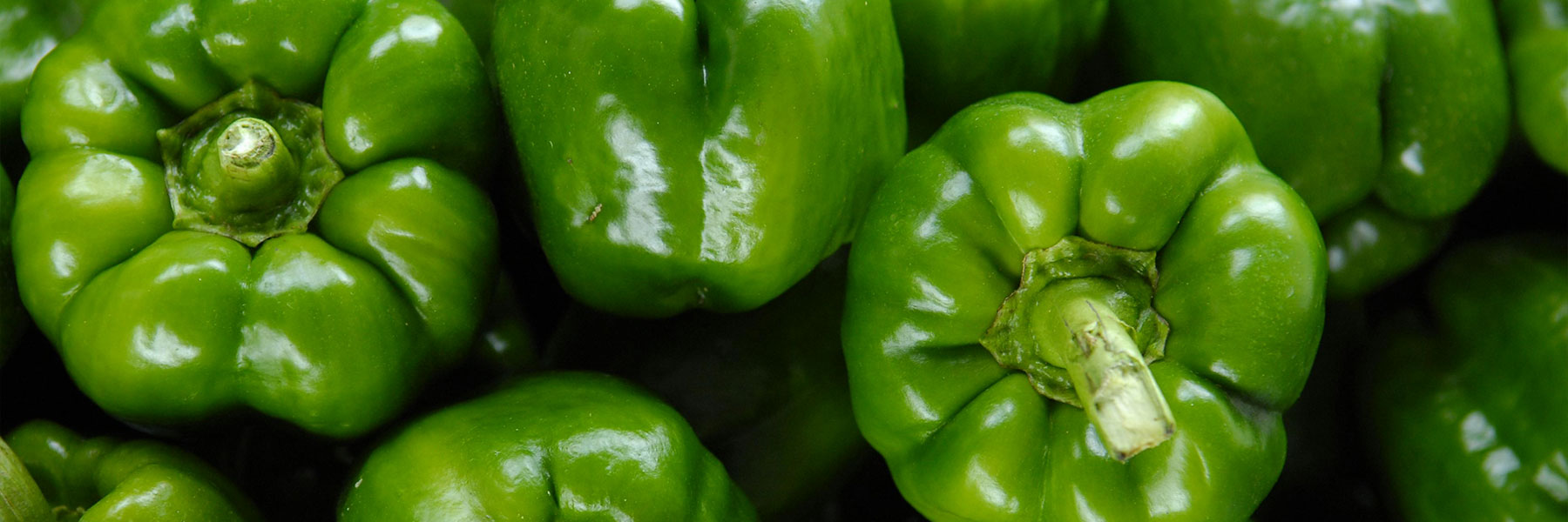 Bell Pepper Varieties