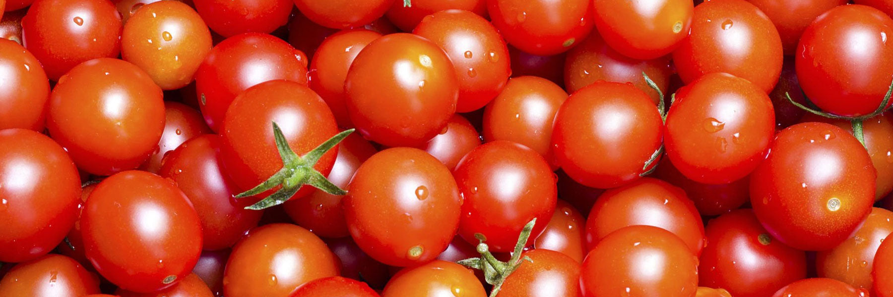 Cocktail, Grape and Cherry Tomato