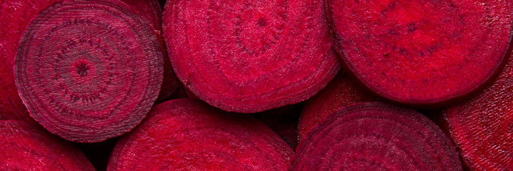 Beet Seeds by Paramount Seeds | Seed Company – Paramount Seeds Inc