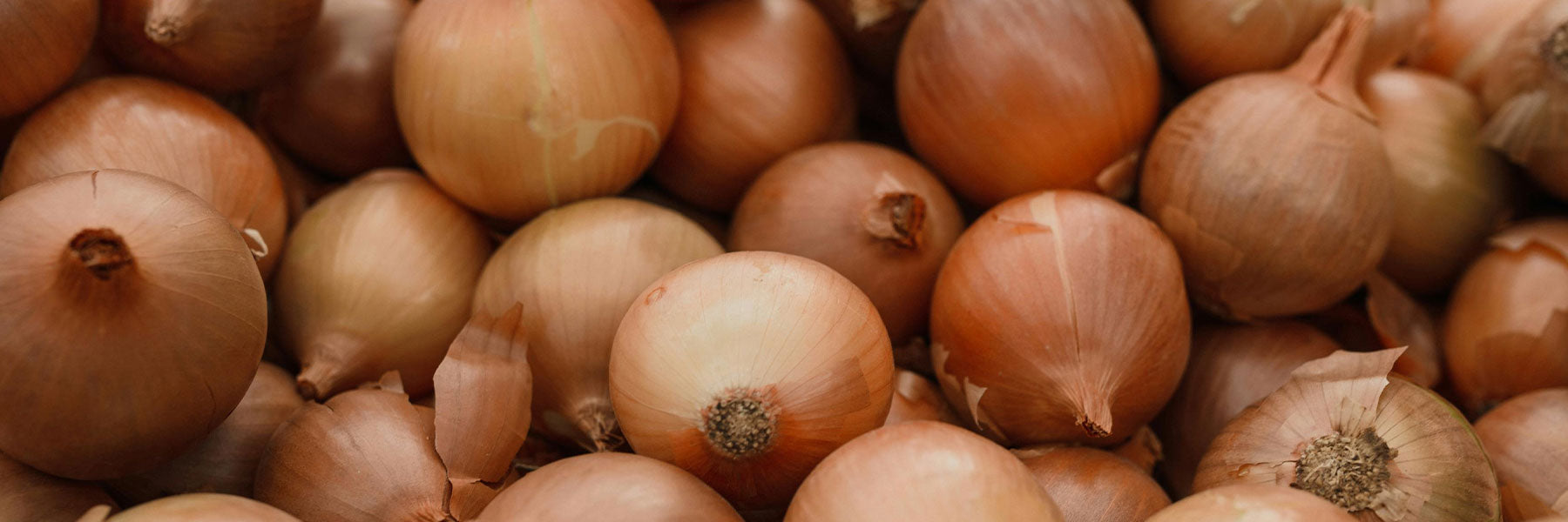 Onion