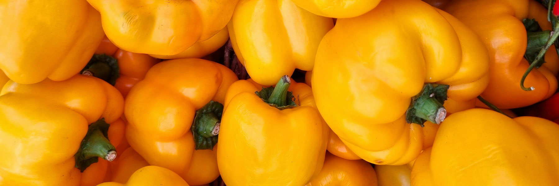 Yellow Pepper