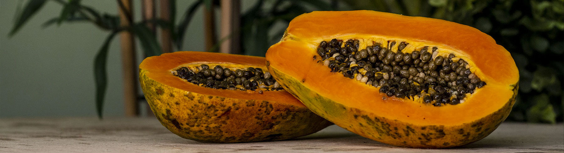 Papaya