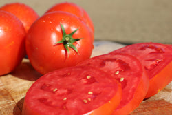 Big Beef PLUS F1 Beefsteak Tomato