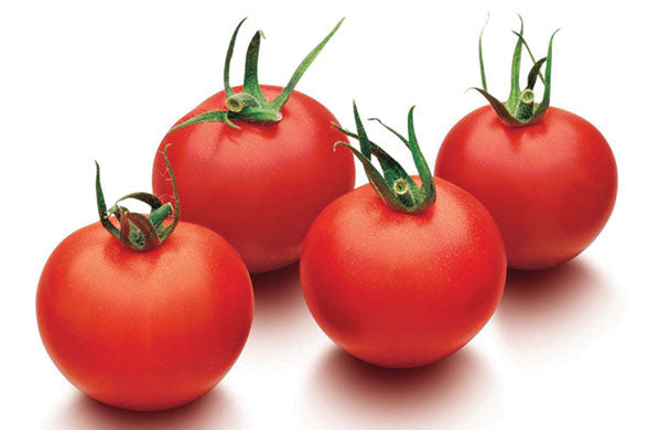 Favorita F1 Cherry Tomato