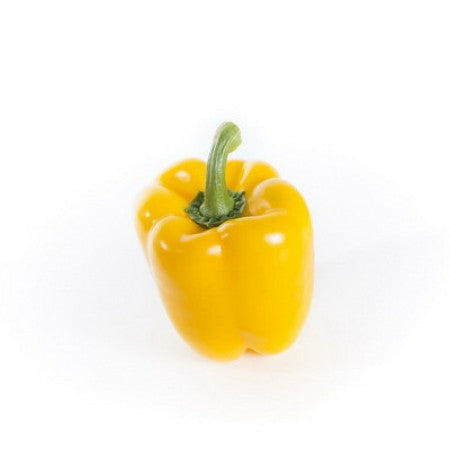 Hattrick F1 Yellow Bell Pepper