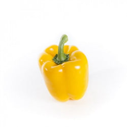 Hattrick F1 Yellow Bell Pepper