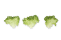Hydrolique F1 Crystal Lettuce (RZ 44-CL1717) Pelleted seed