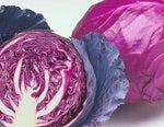 Red Acre Cabbage