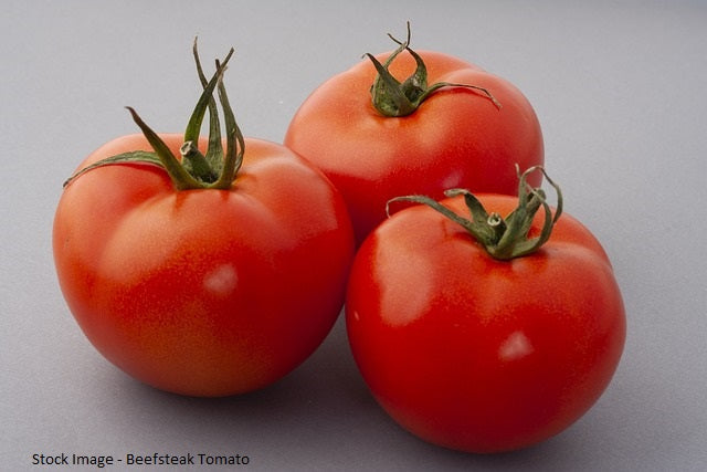 Better Boy Plus Beefsteak Tomato