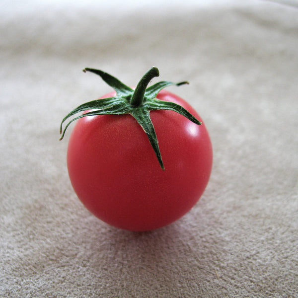 Sweet Treats F1 Cherry Tomato