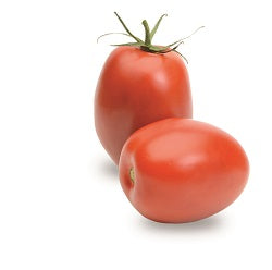 Vanessa F1 (TY) Roma Tomato