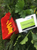 Squash Yellowfin  F1 (Treated seed)