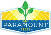 Granite Lollo Bionda Lettuce, pelleted seed | Paramount Seeds Inc