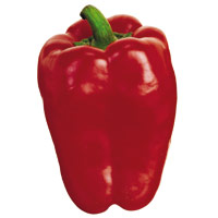 Maccabi Red Pepper