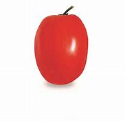 Alvaro F1 (TY) Roma Tomato