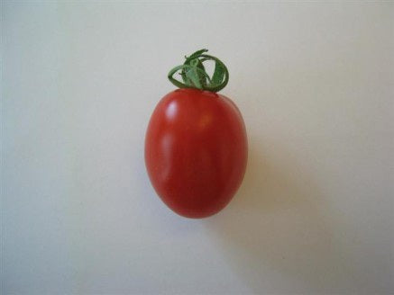 Tomato Amsterdam