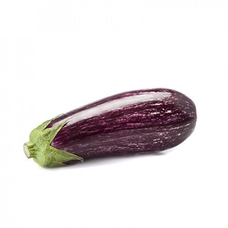 Angela F1 Eggplant
