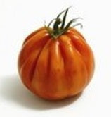 Tomato Aurea