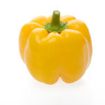 Bachata F1 Yellow Bell Pepper