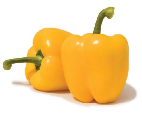 Berkeley F1 Yellow Bell Pepper