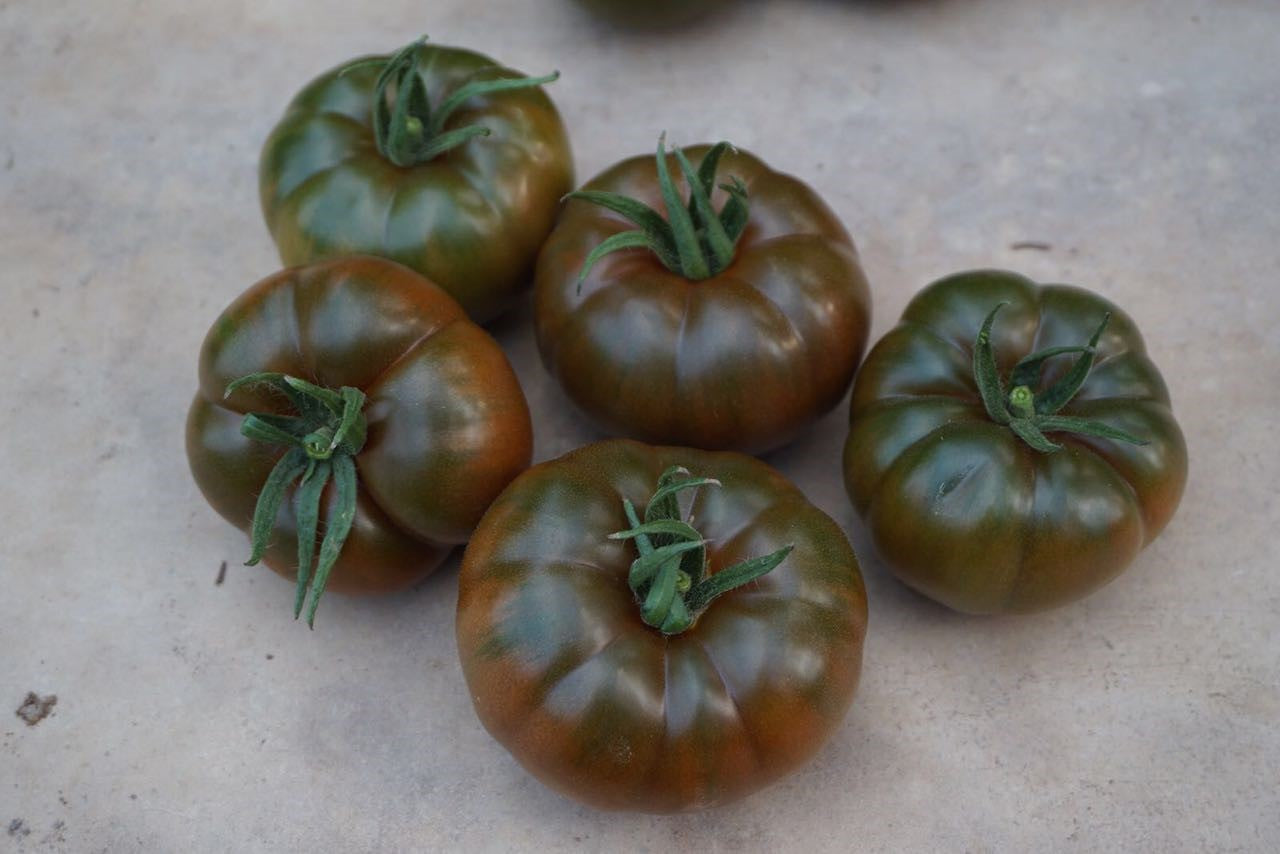 Bucanero F1 Beefsteak Tomato – Paramount Seeds Inc
