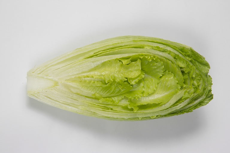 Crispol F1 Romaine-Iceberg Lettuce, pelleted seed