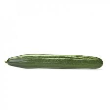 Winmar RZ (24-226) Long Dutch Cucumber