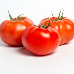 Ondero F1 Beefsteak Tomato