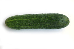 Deli-Star Mini Cucumber (Treated seed)