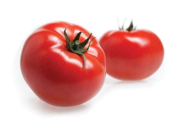 Ducovery F1 Beefsteak Tomato