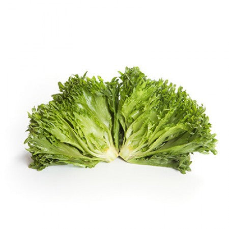 Dunand F1 Crystal Lettuce (RZ 44-22) Pelleted seed