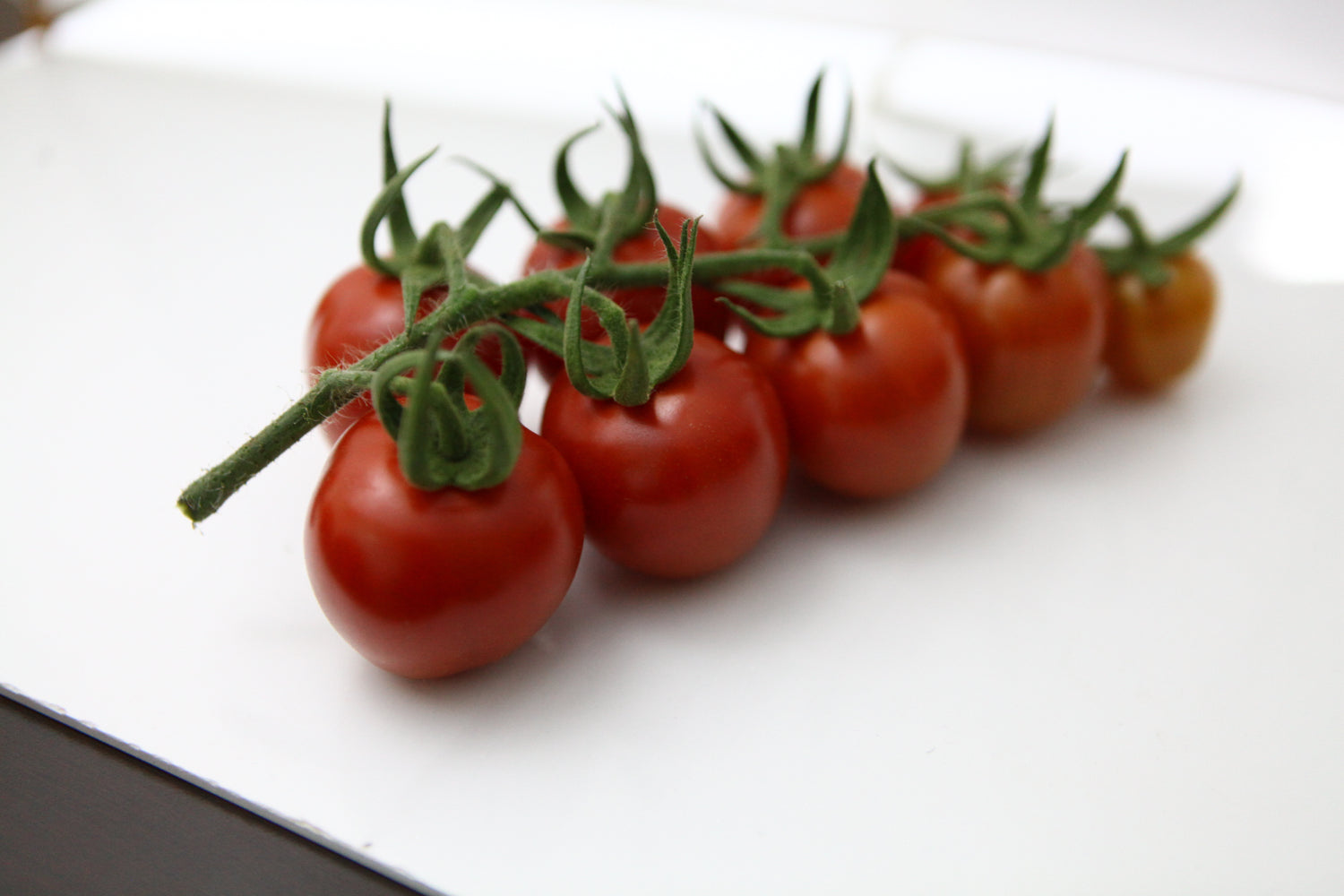 Eider F1 Cocktail Tomato