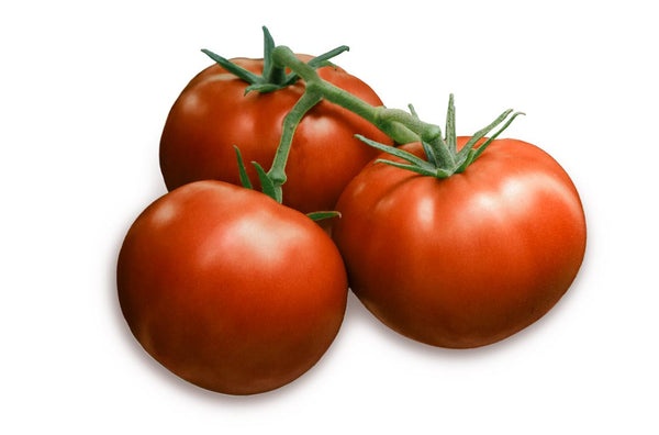 Ferreira F1 Beefsteak Tomato