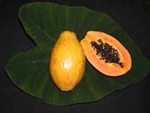 Papaya Original Solo Sunset