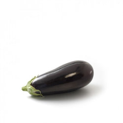 Jaylo F1  Eggplant (Untreated seed)
